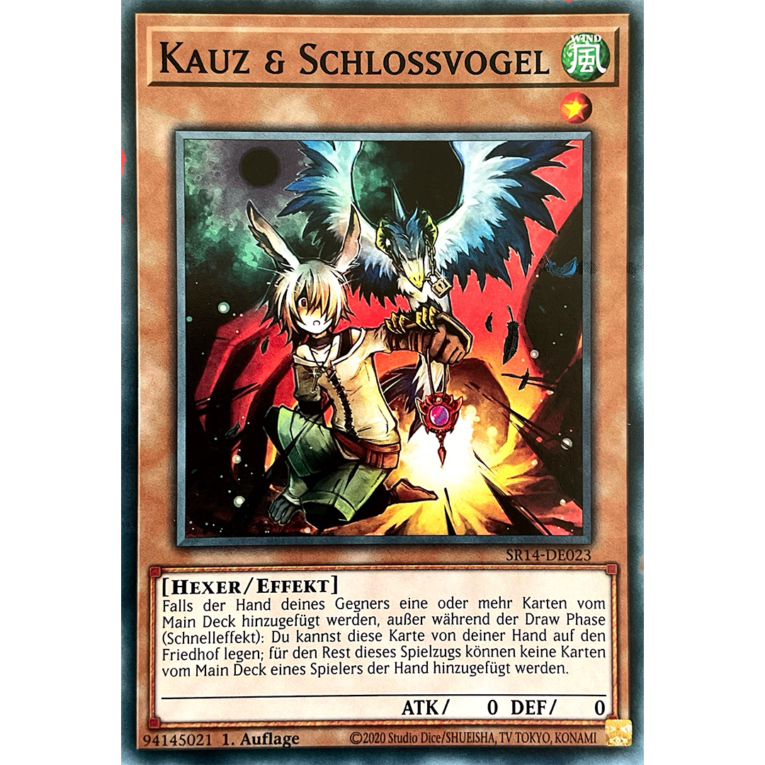 Kauz & Schlossvogel - Common