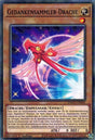 Gedankensammler-Drache - Common - Divine Cards