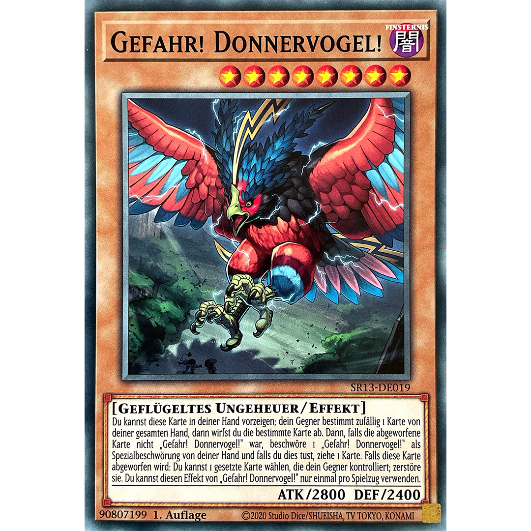 Gefahr! Donnervogel! - Common
