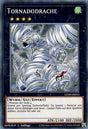 Tornadodrache - Common - Divine Cards